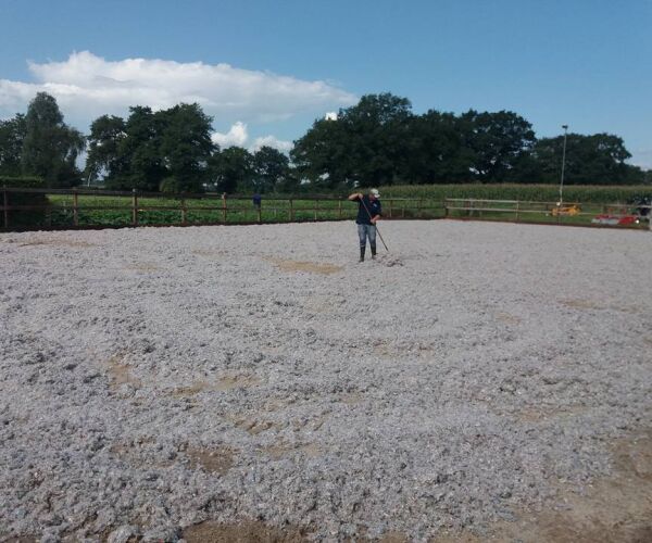 Bodem paardenbakken