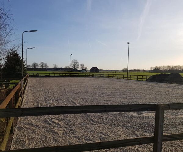 Type paardenbak