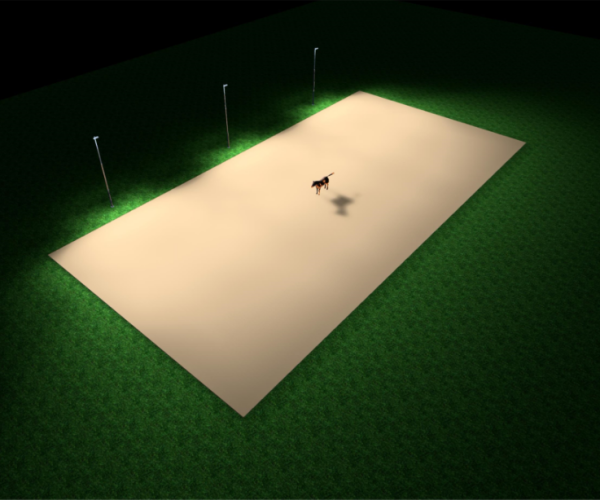 Verlichting paardenbak