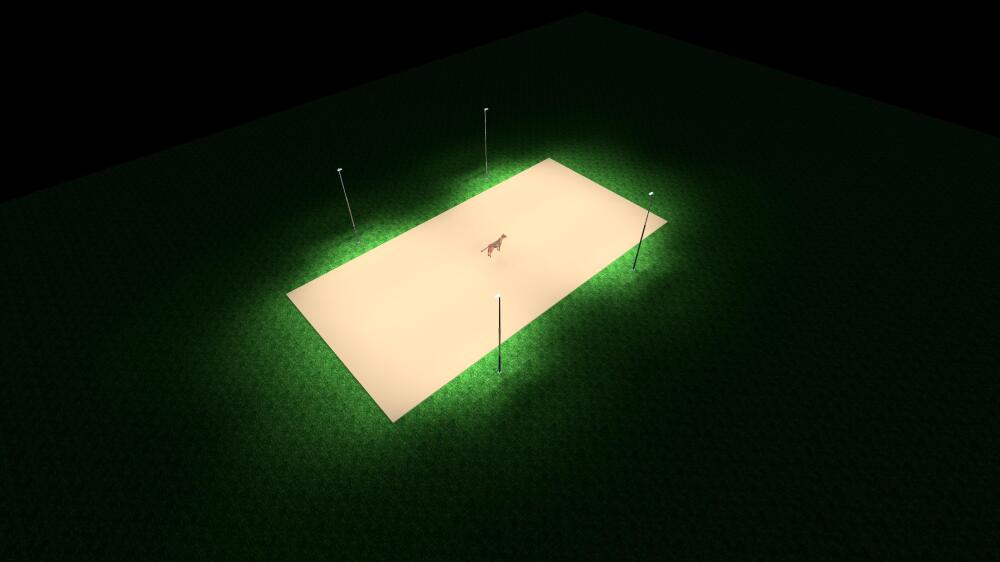 paardenbak lichtbeeld 20x40 professional