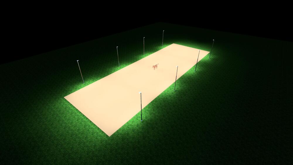 verlichting paardenbak 20x60m professional